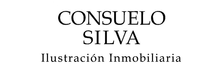 consuelosilva.com